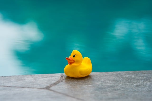 kachnička u bazénu